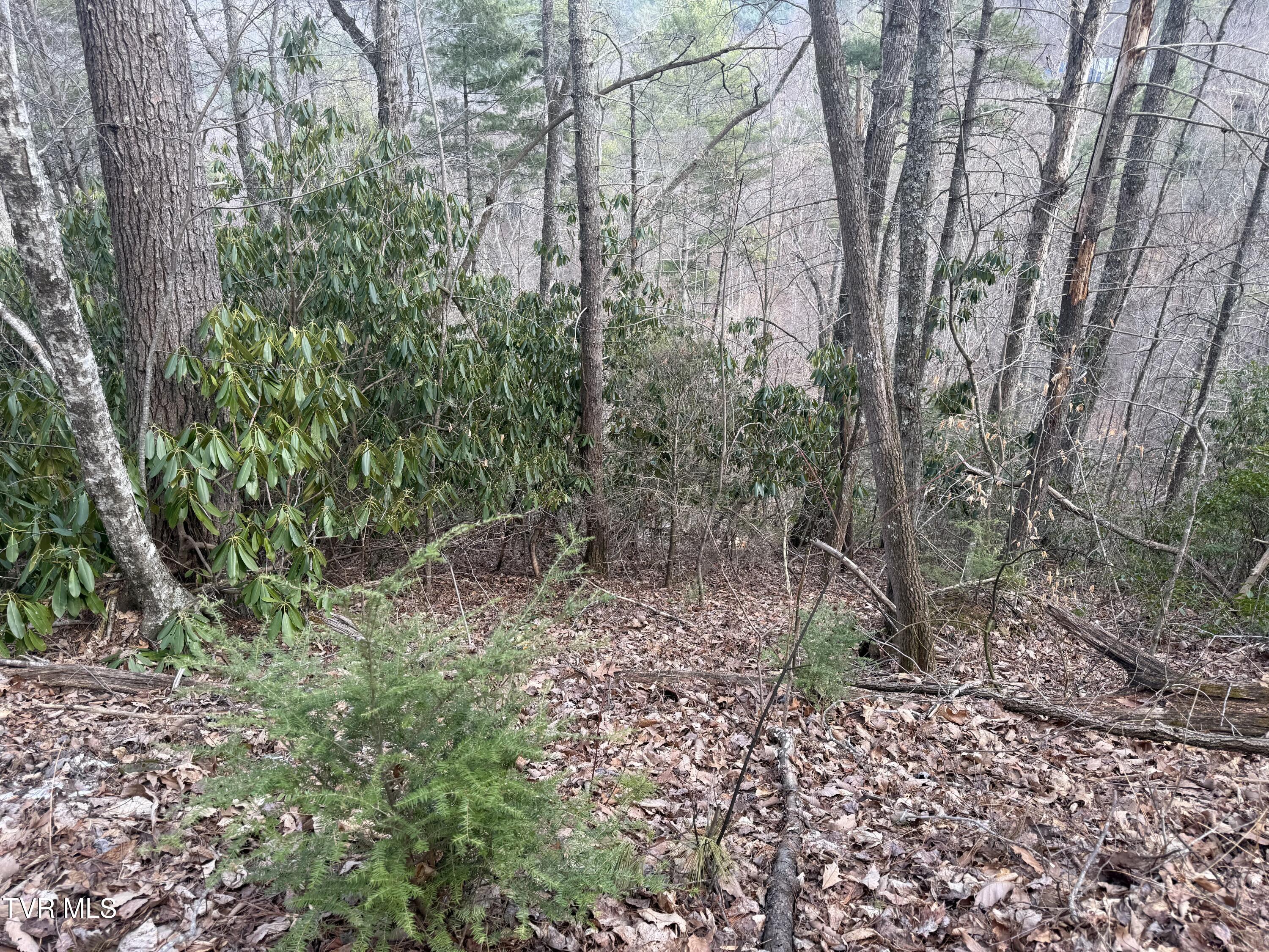 Tbd Tbd Banjo Ridge, Unit 8 37 38 Butler, TN 37640 - Photo 10 of 11 banjo ridge cluster 8
