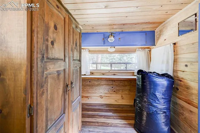 a view of a trees with a yard