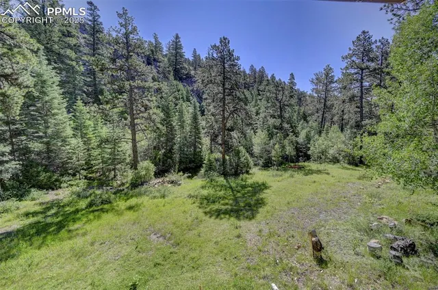 a view of a big yard of a house