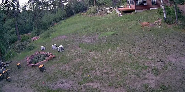 a view of a backyard