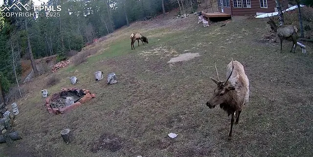 a close view of a sink