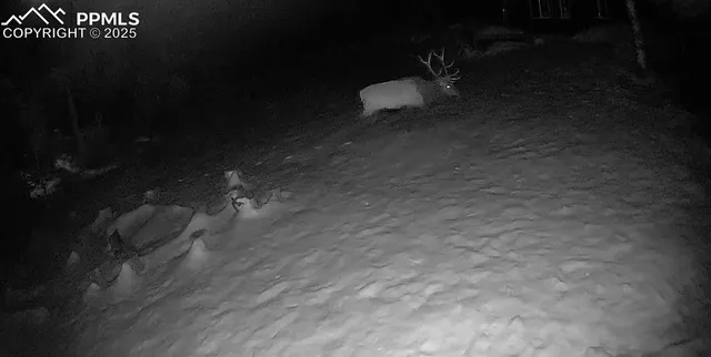 a view of a green field with lots of bushes