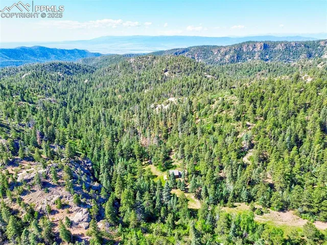a view of a lush green field with lots of bushes