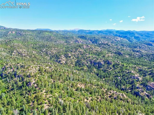a view of a lush green field with lots of bushes