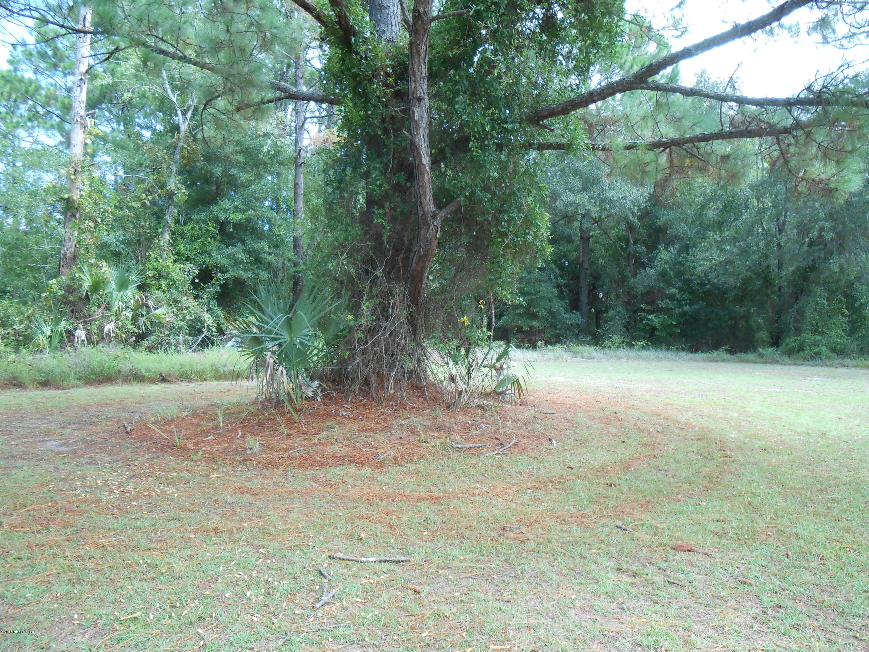136 Raleigh Avenue Satsuma, FL 32189 - Photo 17 of 21 DSCN0990