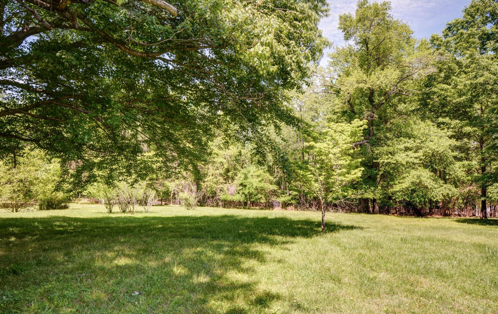 745 Pollard Road Clarksville, TN 37042 - Photo 8 of 30 HUGH Backyard