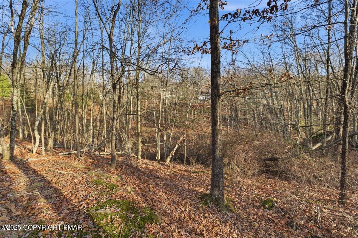 3 Kirkham Road Bushkill, PA 18324 - Photo 12 of 15 a backyard of a house with lots of green space