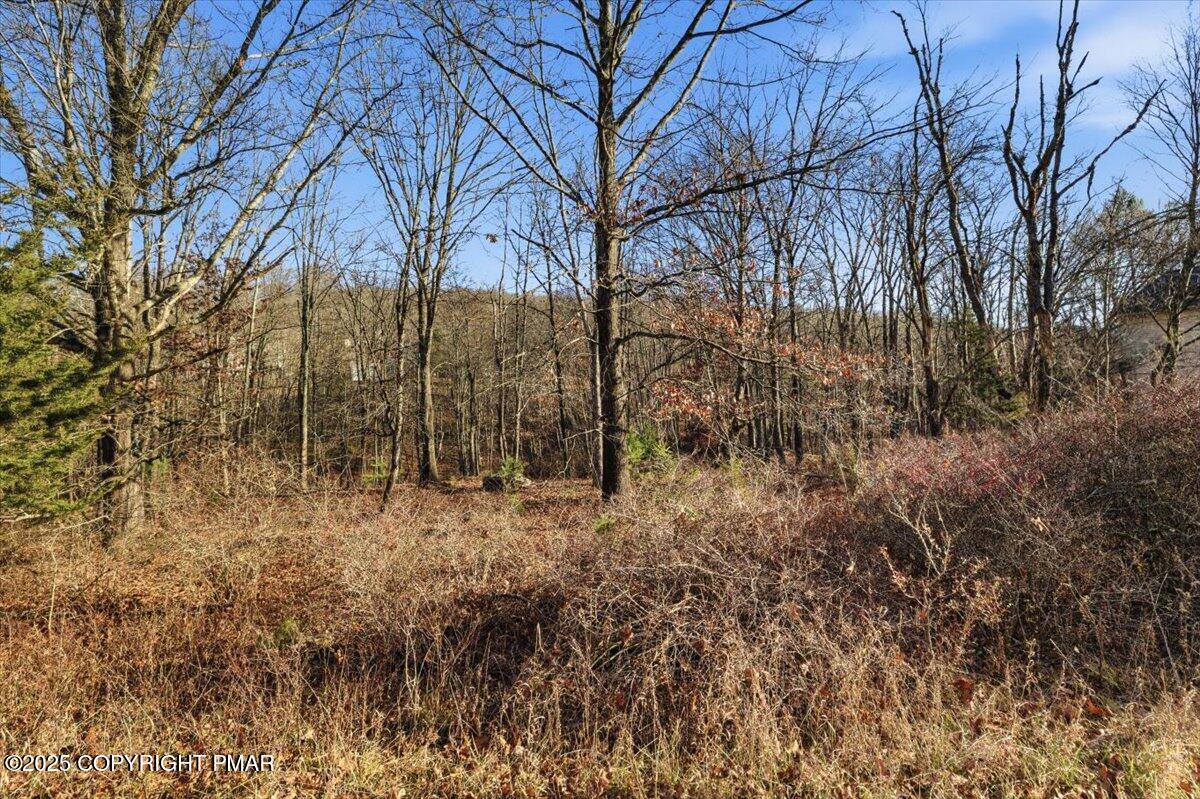 3 Kirkham Road Bushkill, PA 18324 - Photo 4 of 15 a view of a yard covered with trees