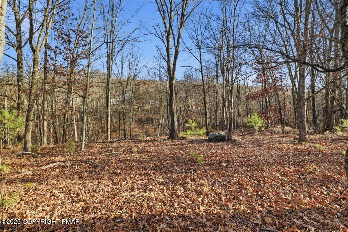 3 Kirkham Road Bushkill, PA 18324 - Photo 5 of 15 a backyard of a house with lots of green space