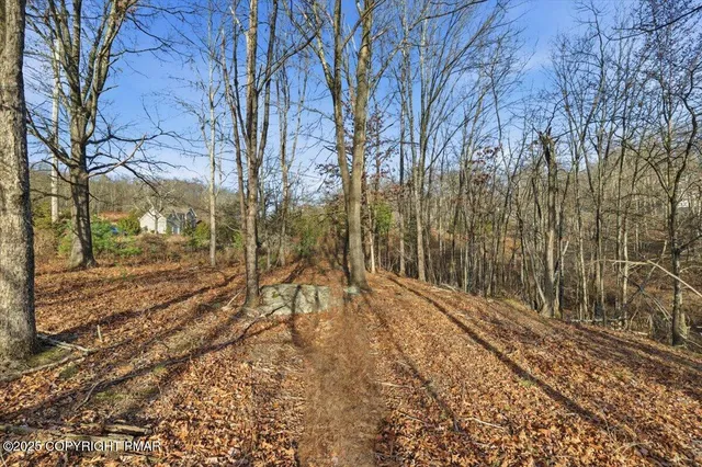 a view of a yard with trees