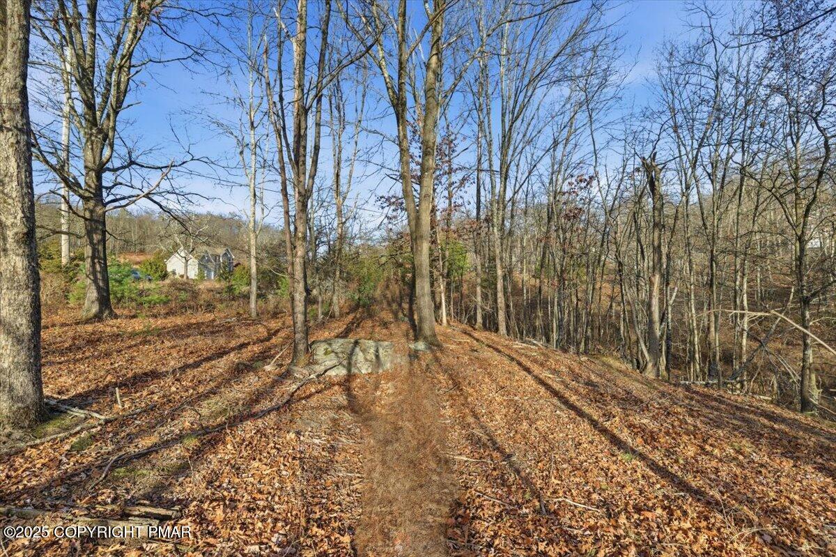 3 Kirkham Road Bushkill, PA 18324 - Photo 6 of 15 a view of a yard with trees