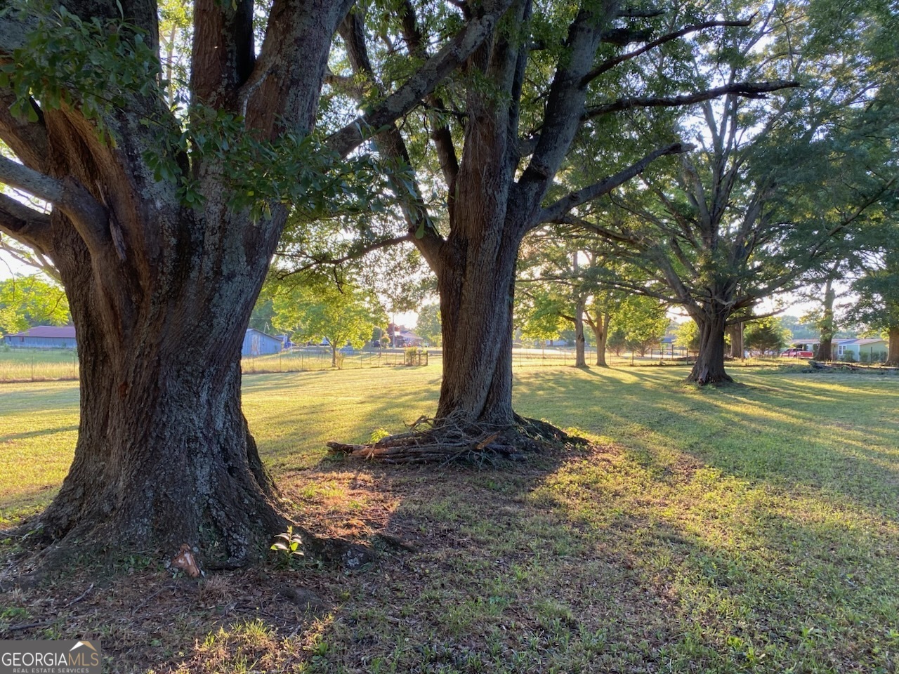 1061 Burger Road Watkinsville, GA 30677 - Photo 3 of 43 a view of outdoor space with trees