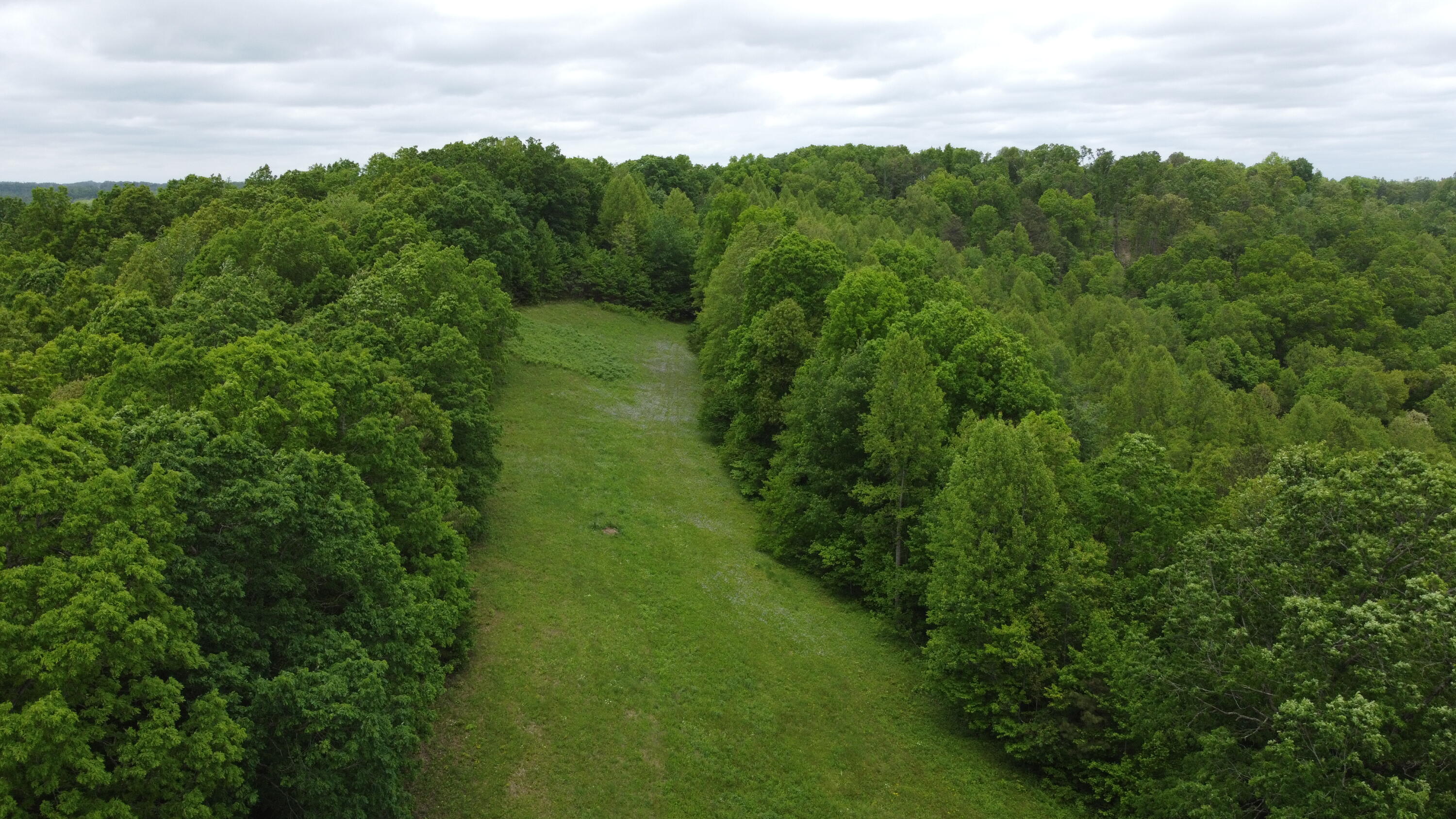0 Van Hollow Road McKee, KY 40447 - Photo 9 of 11 DJI_0546
