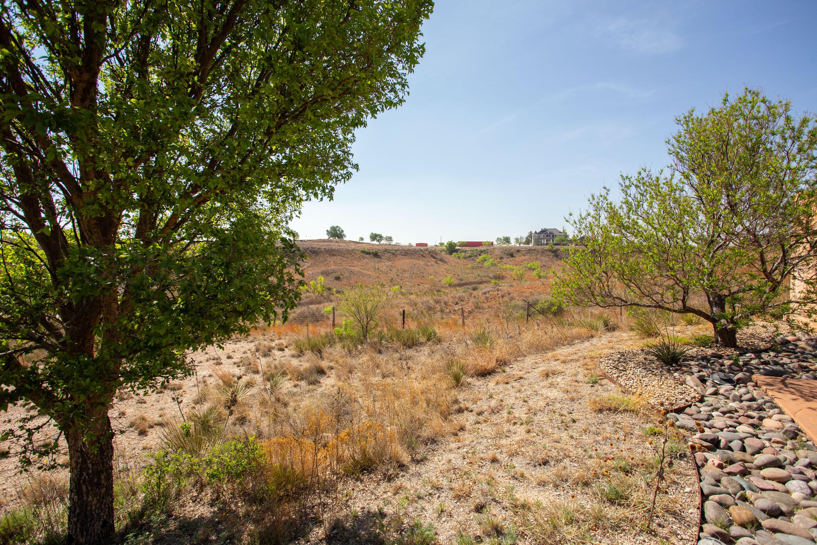 4300 Ranch Road Amarillo, TX 79124 - Photo 48 of 77 4300 Ranch - Back of Land 2