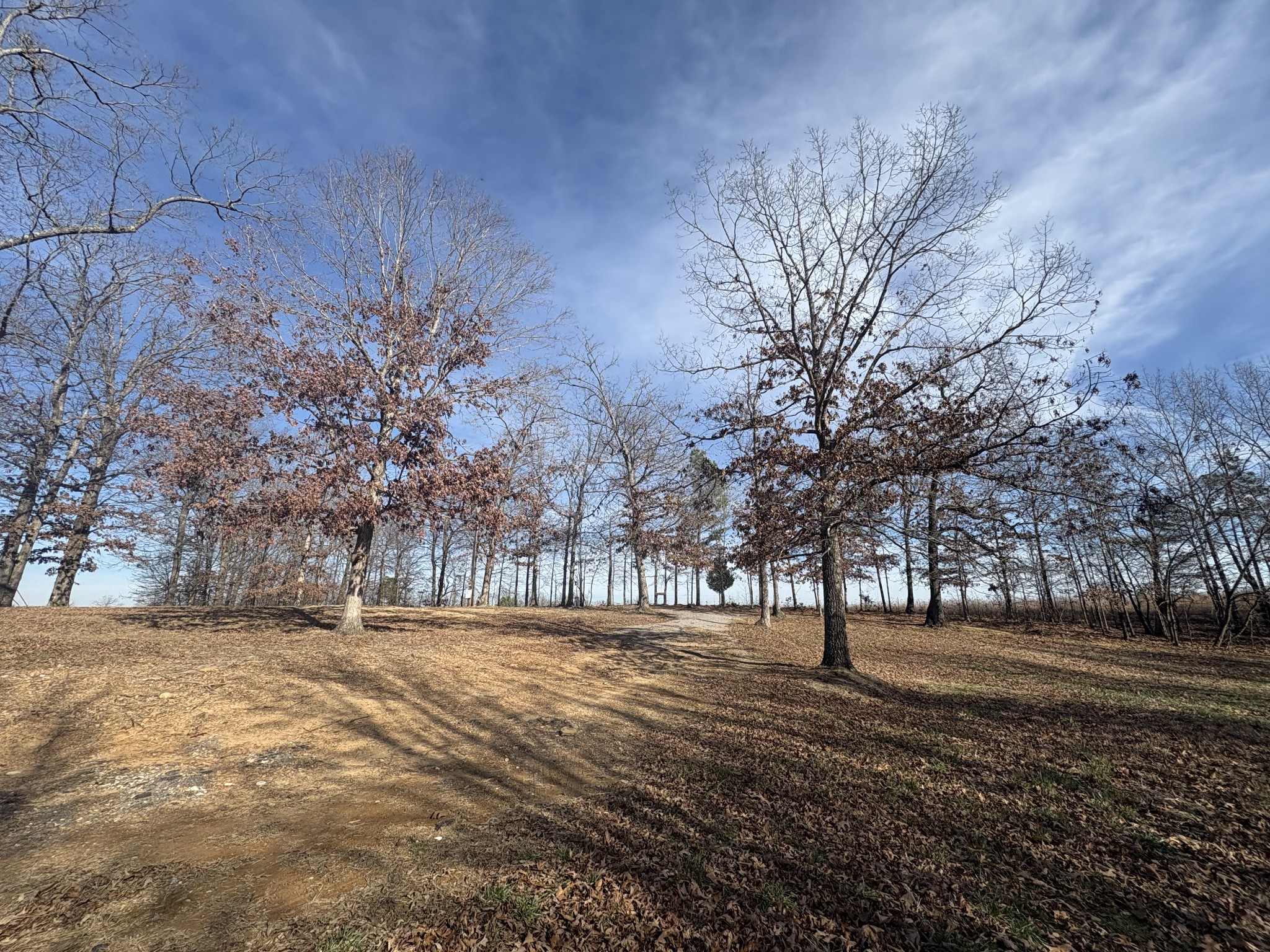 379 7 Mile Ridge Road Indian Mound, TN 37079 - Photo 4 of 6 a view of outdoor space with trees