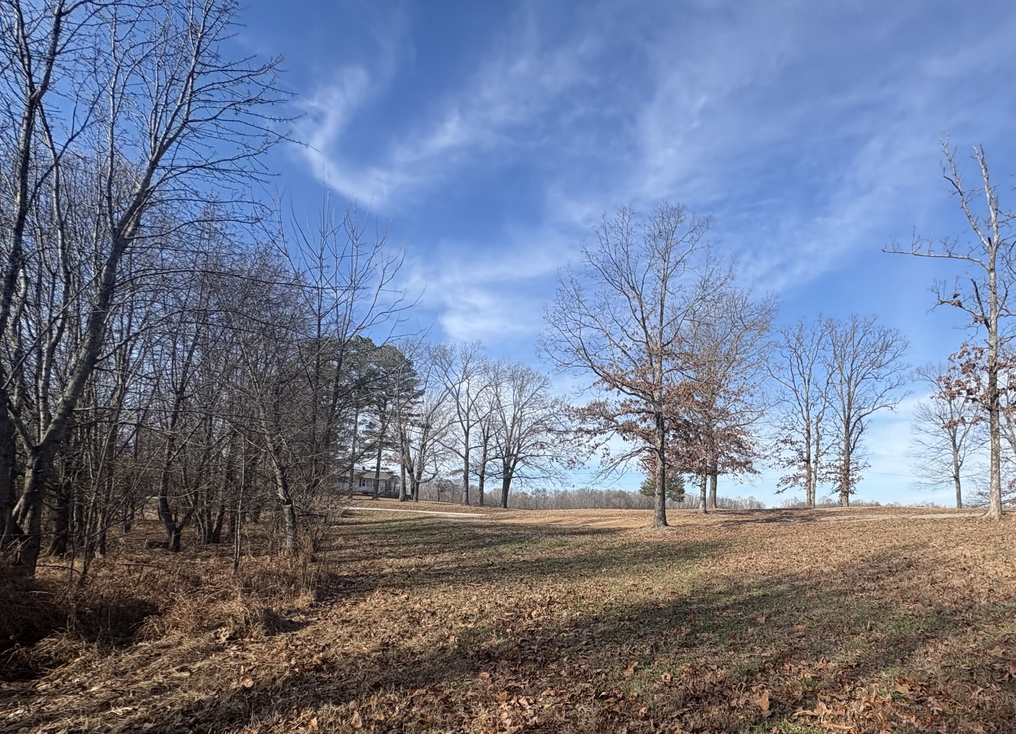 379 7 Mile Ridge Road Indian Mound, TN 37079 - Photo 5 of 6 a view of empty space with large trees