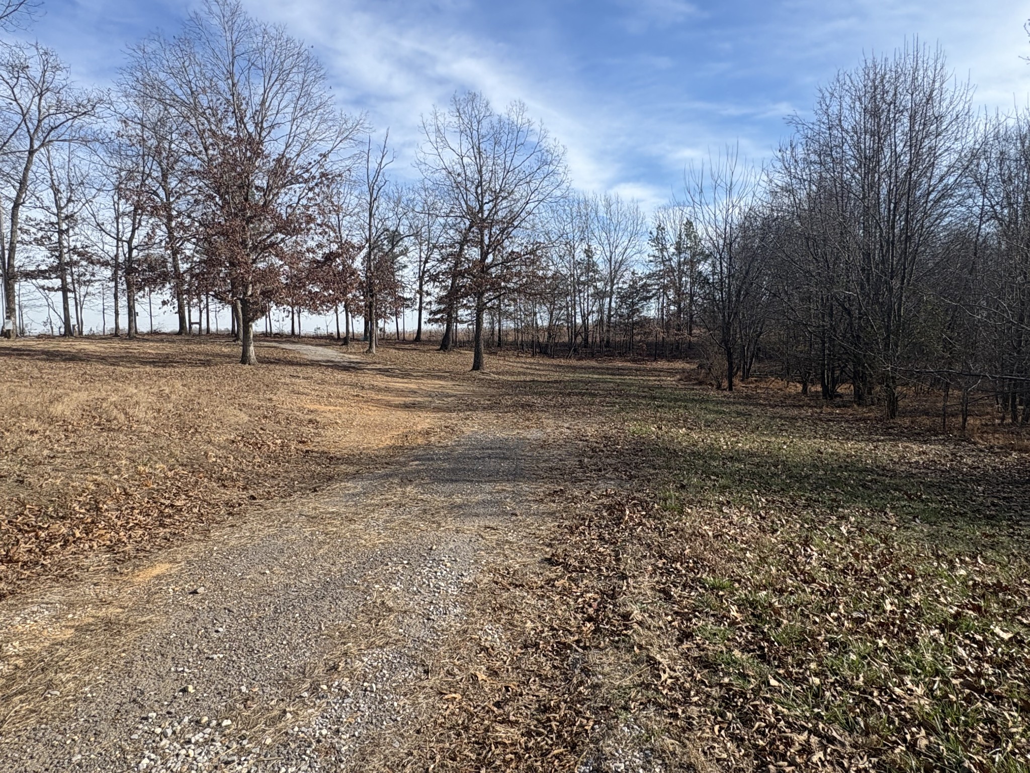 379 7 Mile Ridge Road Indian Mound, TN 37079 - Photo 6 of 6 a view of dirt yard with large trees
