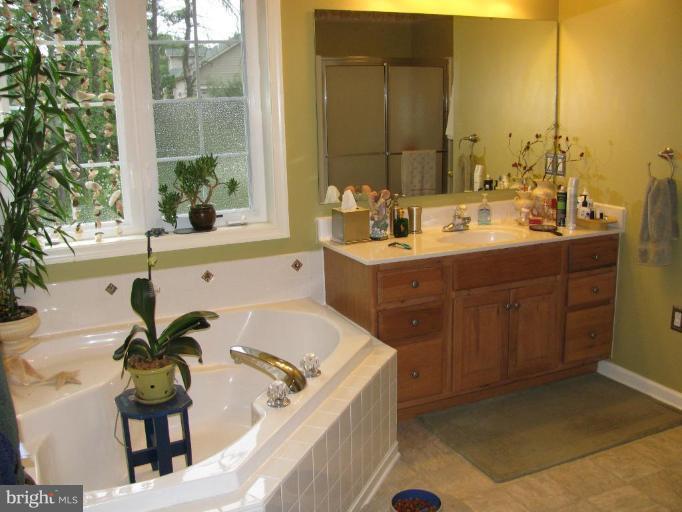 13726 Orchard Ridge Road Hancock, MD 21750 - Photo 24 of 30 Master Bath