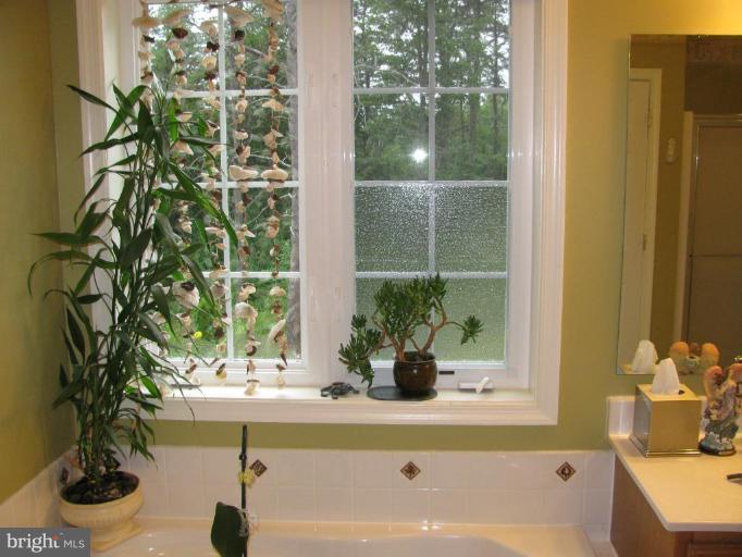13726 Orchard Ridge Road Hancock, MD 21750 - Photo 25 of 30 Master Bath #2