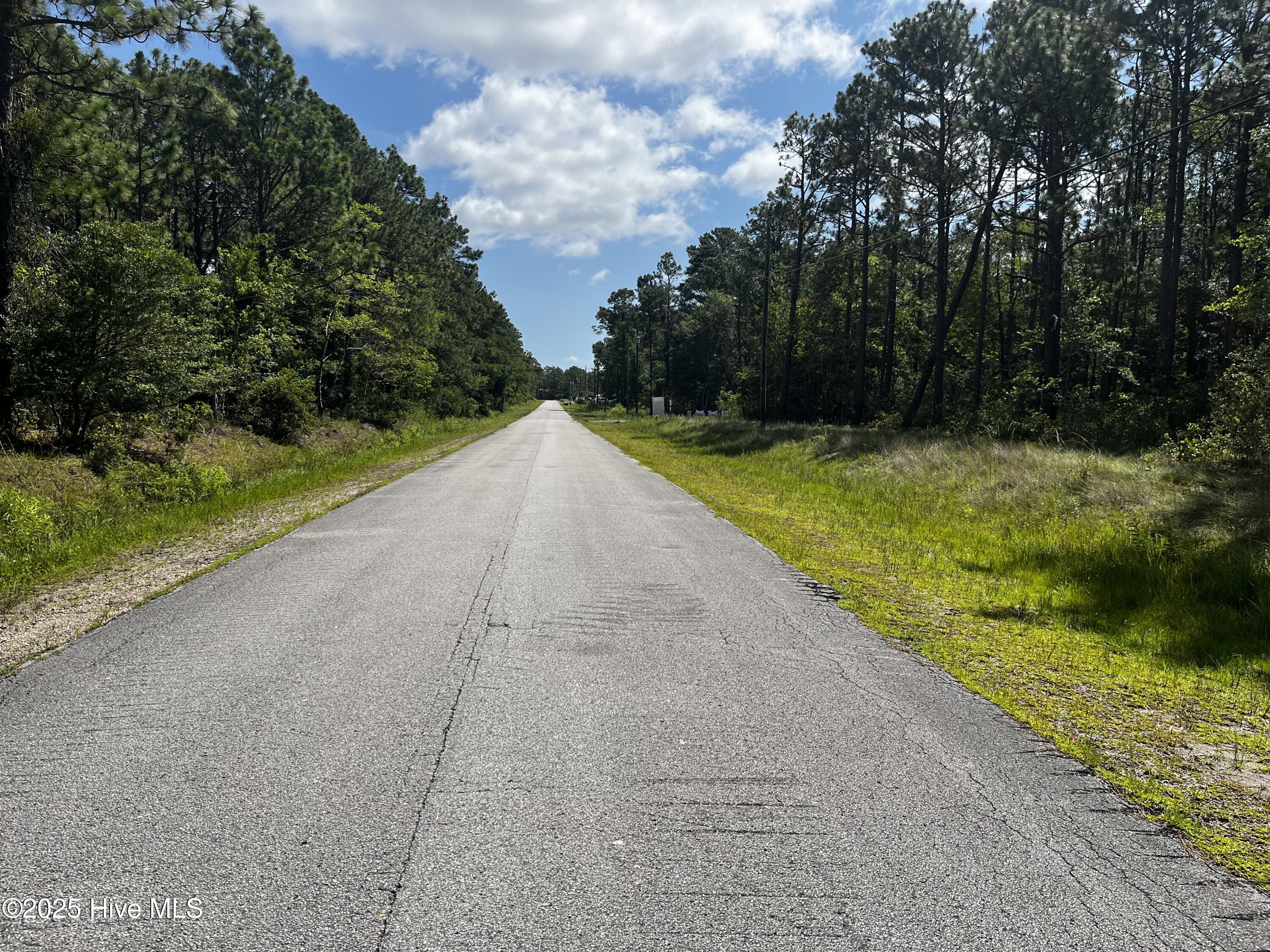 129 West Boiling Spring Road Boiling Spring Lakes, NC 28461 - Photo 1 of 1 Wooded Lot
