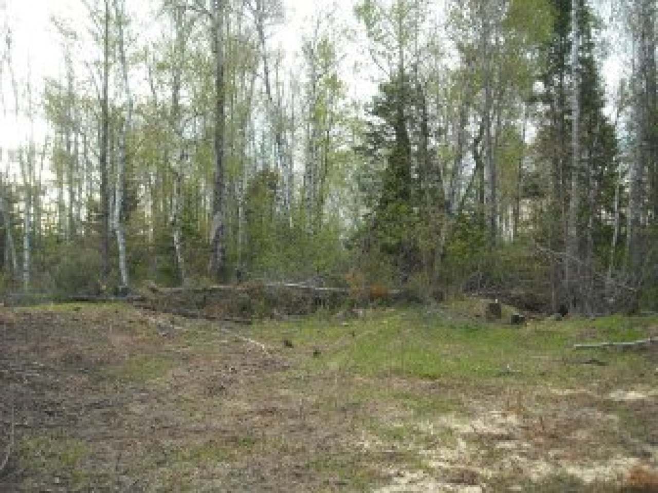 On Club Road Fifield, WI 54524 - Photo 10 of 13 Gallery Image 10