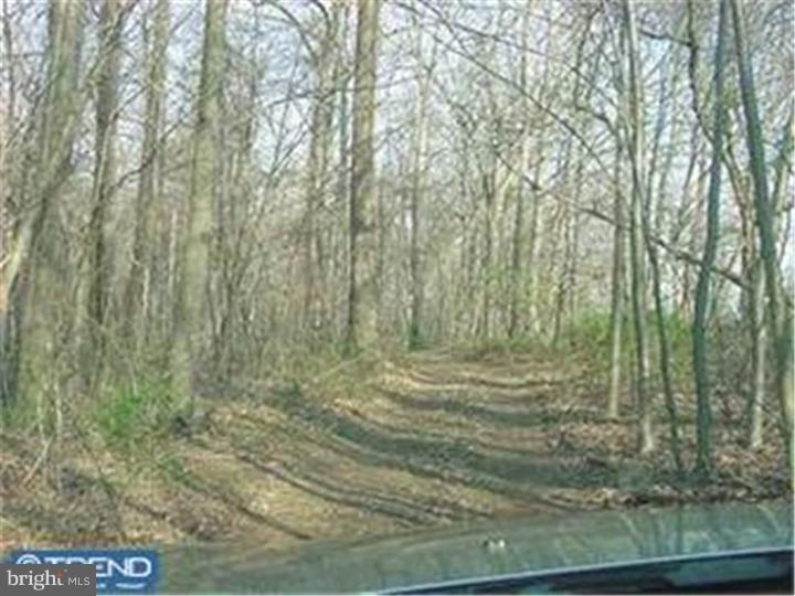 Lot #1 Hartman Road Reading, PA 19606 - Photo 4 of 4
