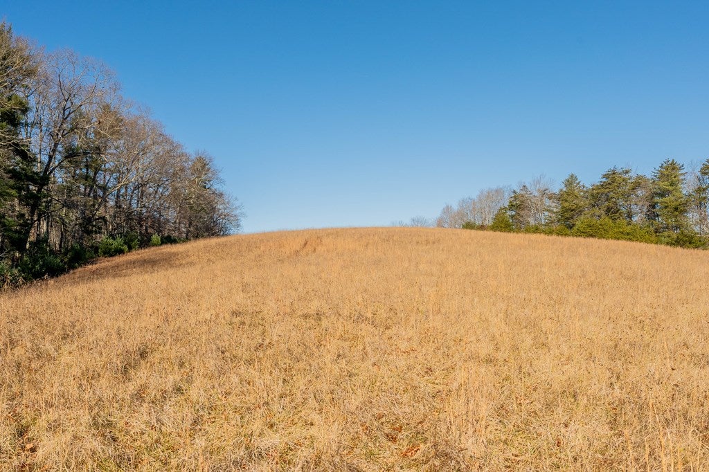 1530 Ridge Road Austinville, VA 24312 - Photo 37 of 62 Gallery Image 37
