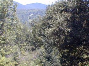404 Robinson Hill Road Pawlet, VT 05761 - Photo 4 of 7 Gallery Image 4