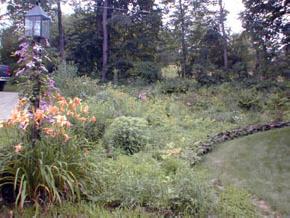 404 Robinson Hill Road Pawlet, VT 05761 - Photo 5 of 7 Gallery Image 5