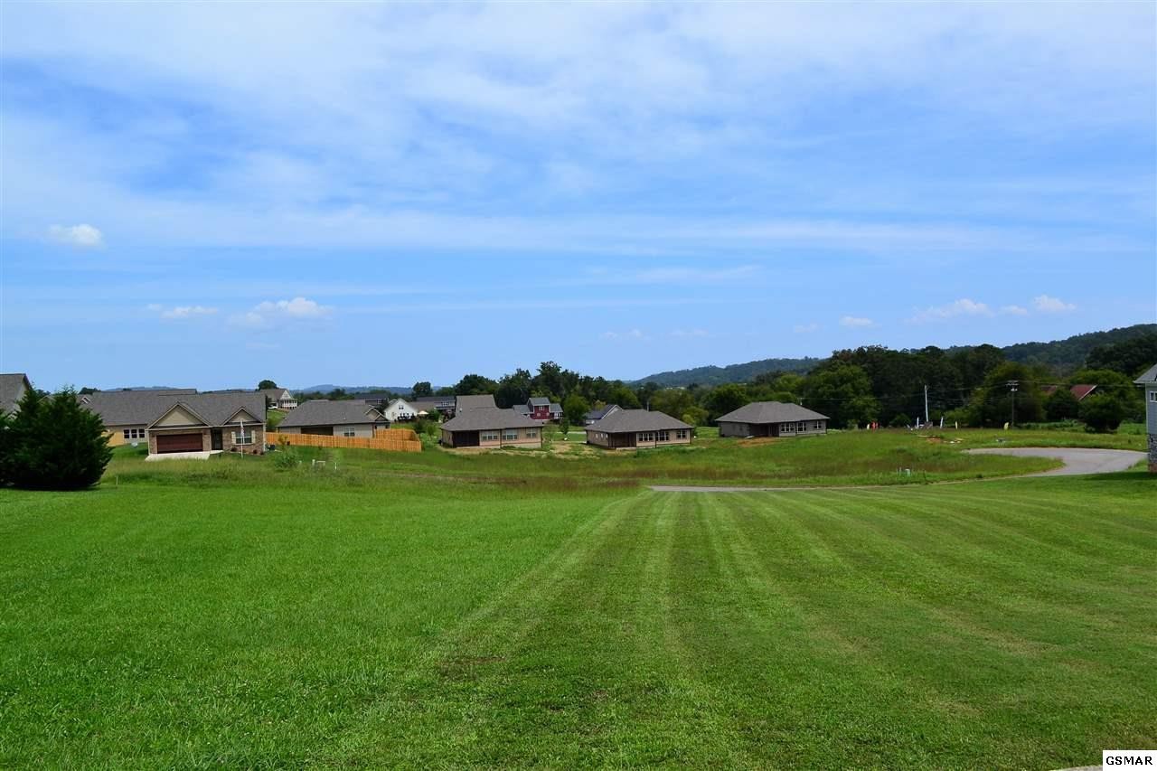 40 Rippling Waters Circle Sevierville, TN 37876 - Photo 4 of 11 Gallery Image 4