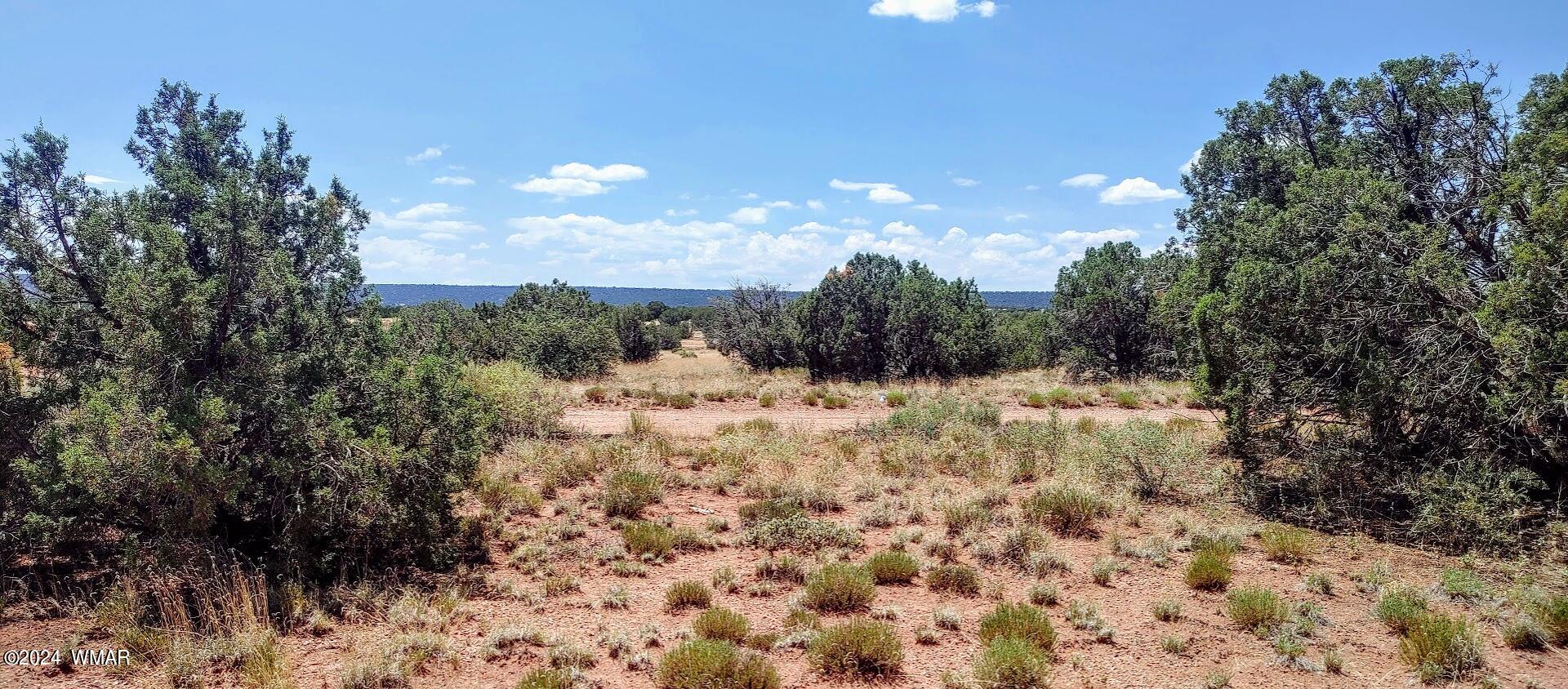 4312 East Pinto Road Snowflake, AZ 85937 - Photo 8 of 9 0730241149