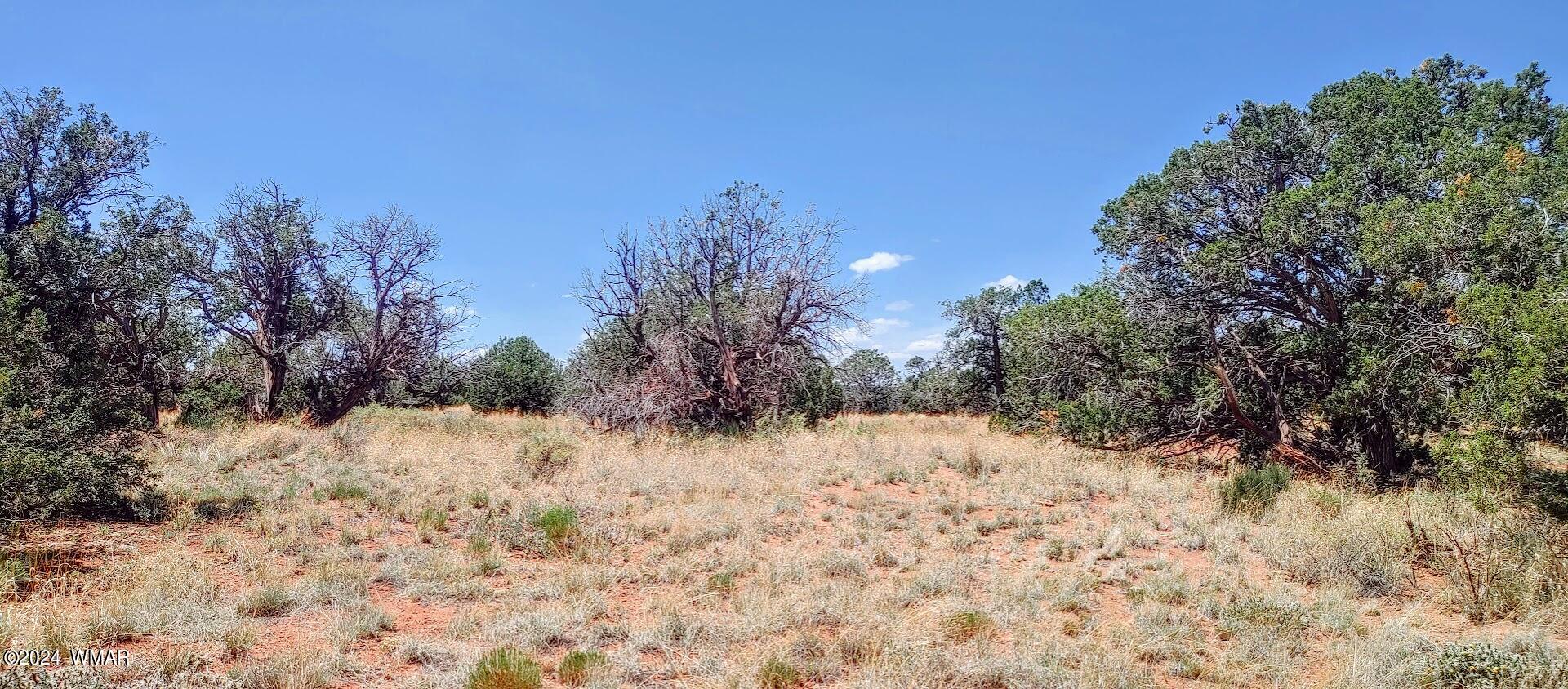 4312 East Pinto Road Snowflake, AZ 85937 - Photo 9 of 9 0730241147a