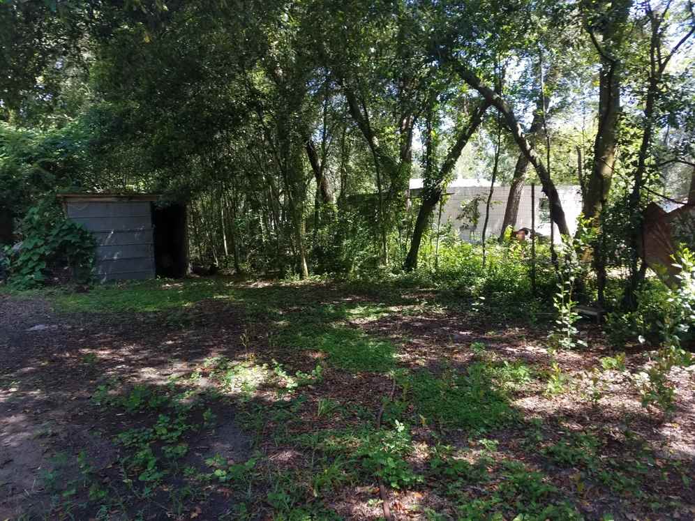 3420 Springhill Road Tallahassee, FL 32305 - Photo 4 of 23 Gallery Image 4