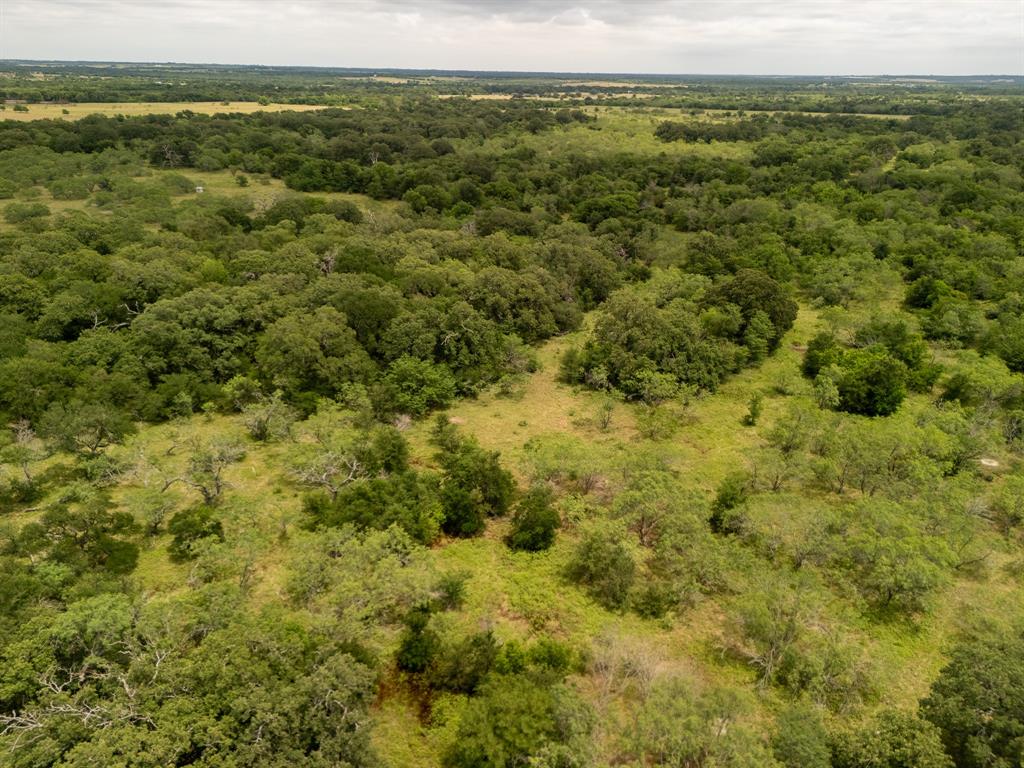 8 County Road 178 Riesel, TX 76682 - Photo 17 of 36 Aerial view