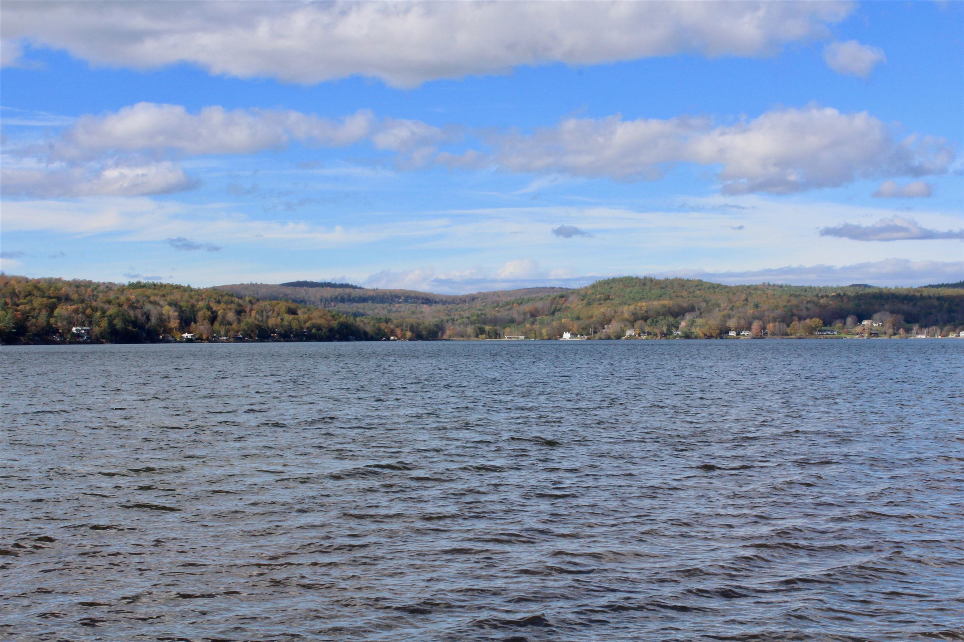 107 Neshobe Beach Road Castleton, VT 05732 - Photo 7 of 31