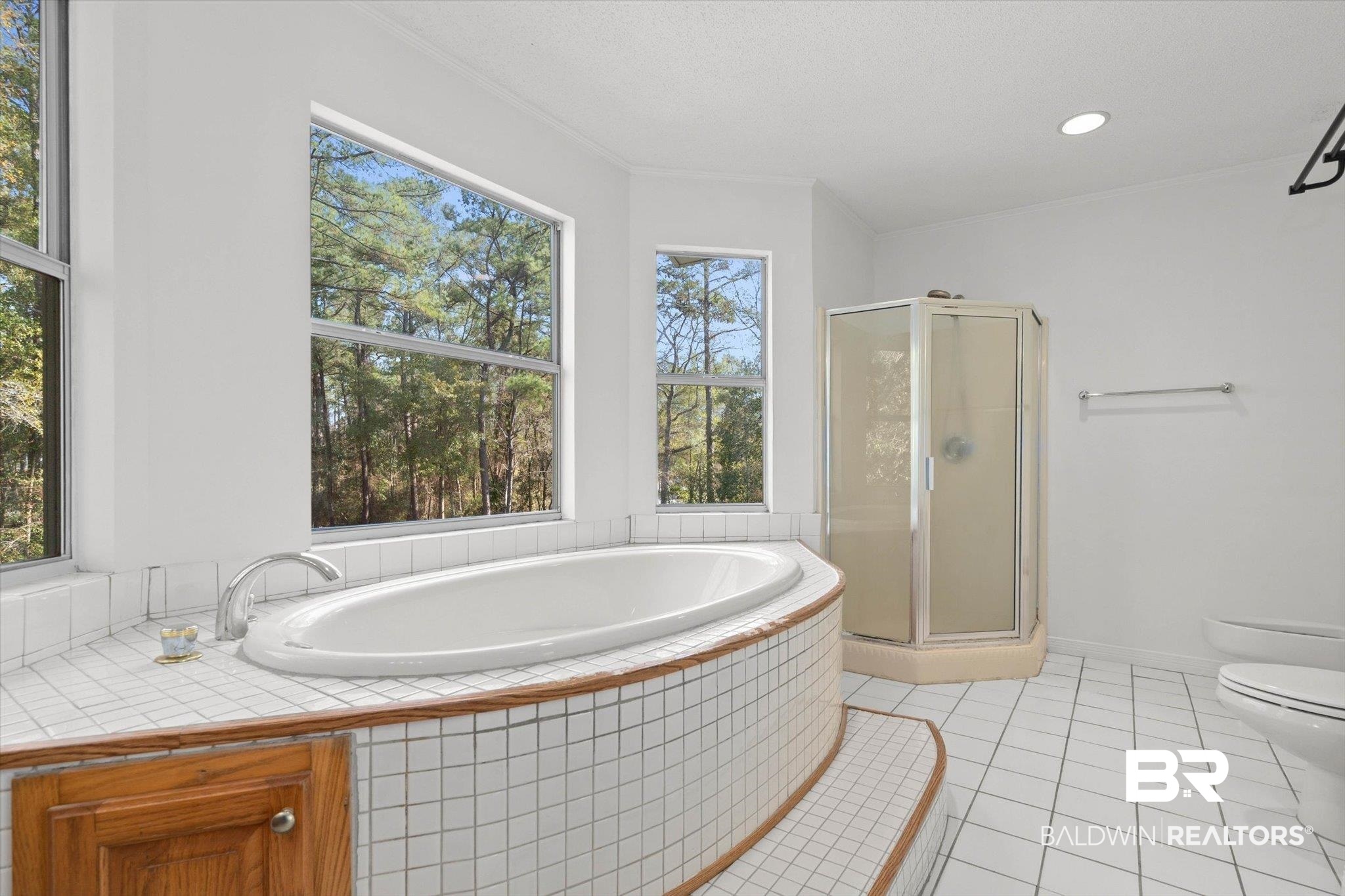 3847 Riviere Du Chien Road Mobile, AL 36693 - Photo 20 of 51 Bathroom featuring a shower stall, a garden tub, light tile patterned flooring, ornamental molding, and a bidet