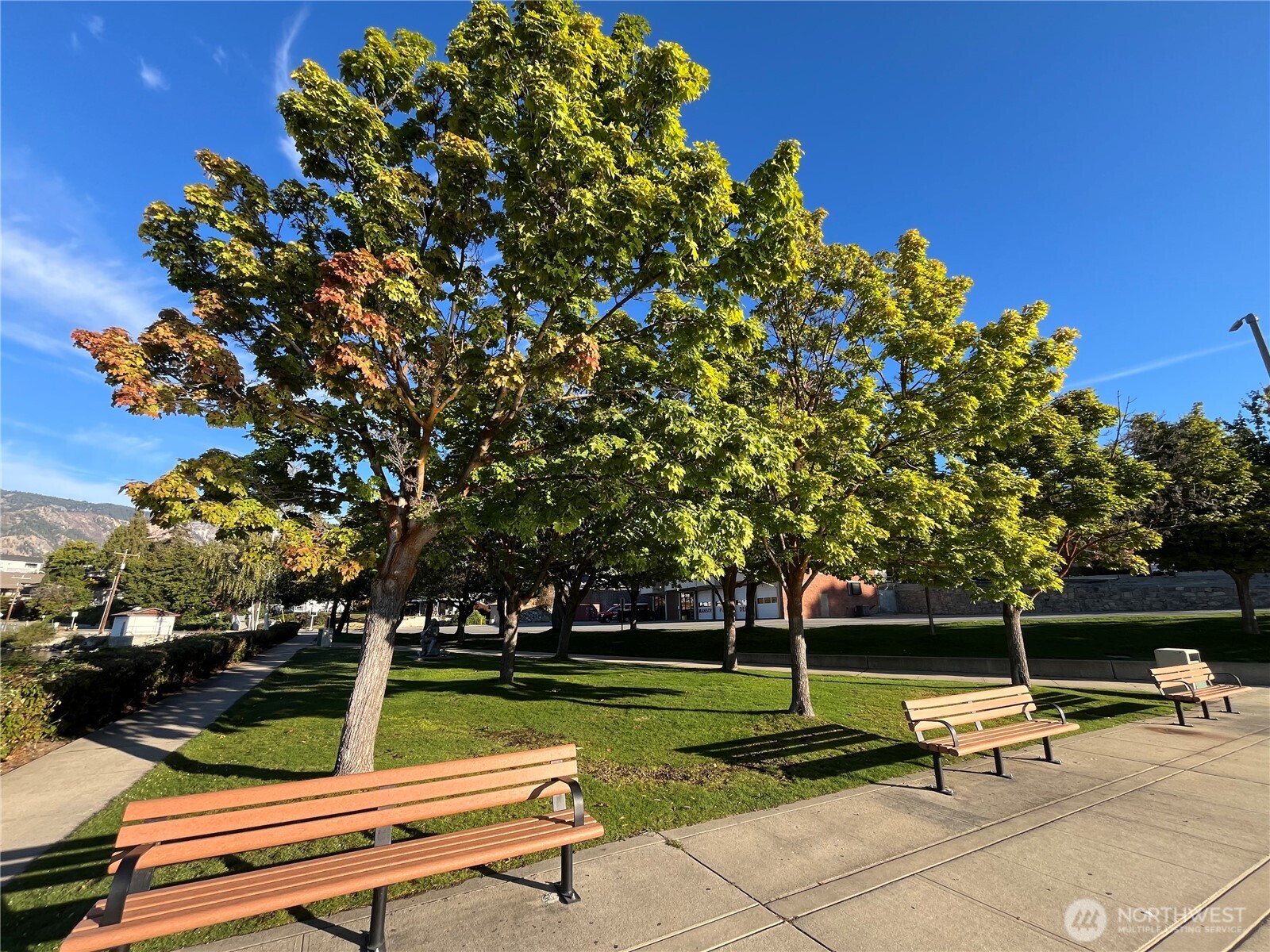 20 Indigo Lane Manson, WA 98831 - Photo 20 of 22 a park view with a bench and trees