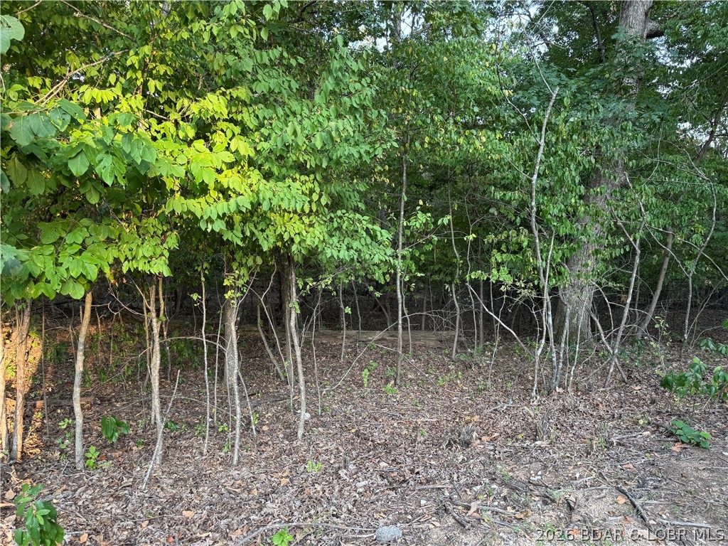 Tbd Point Charles Road Sunrise Beach, MO 65079 - Photo 30 of 65 Gallery Image 30