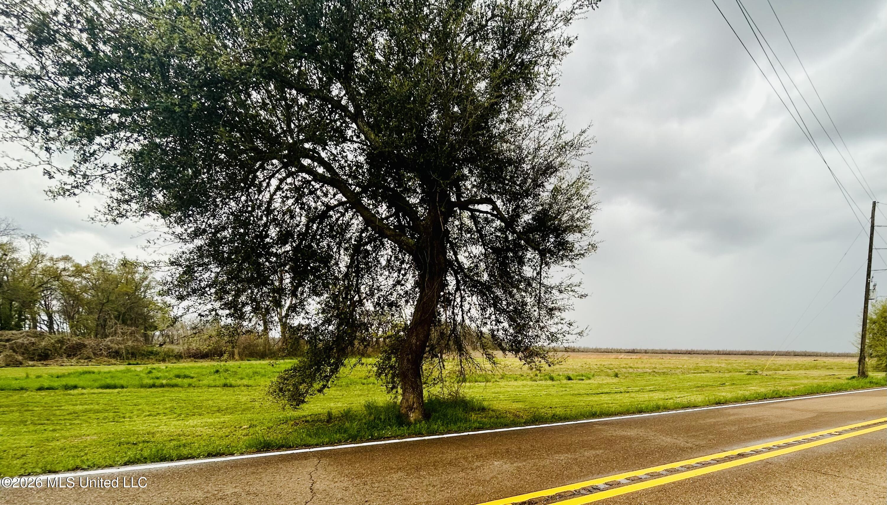 Lot M Ferriday La Ferriday, LA 71334 - Photo 2 of 4 IMG_4353