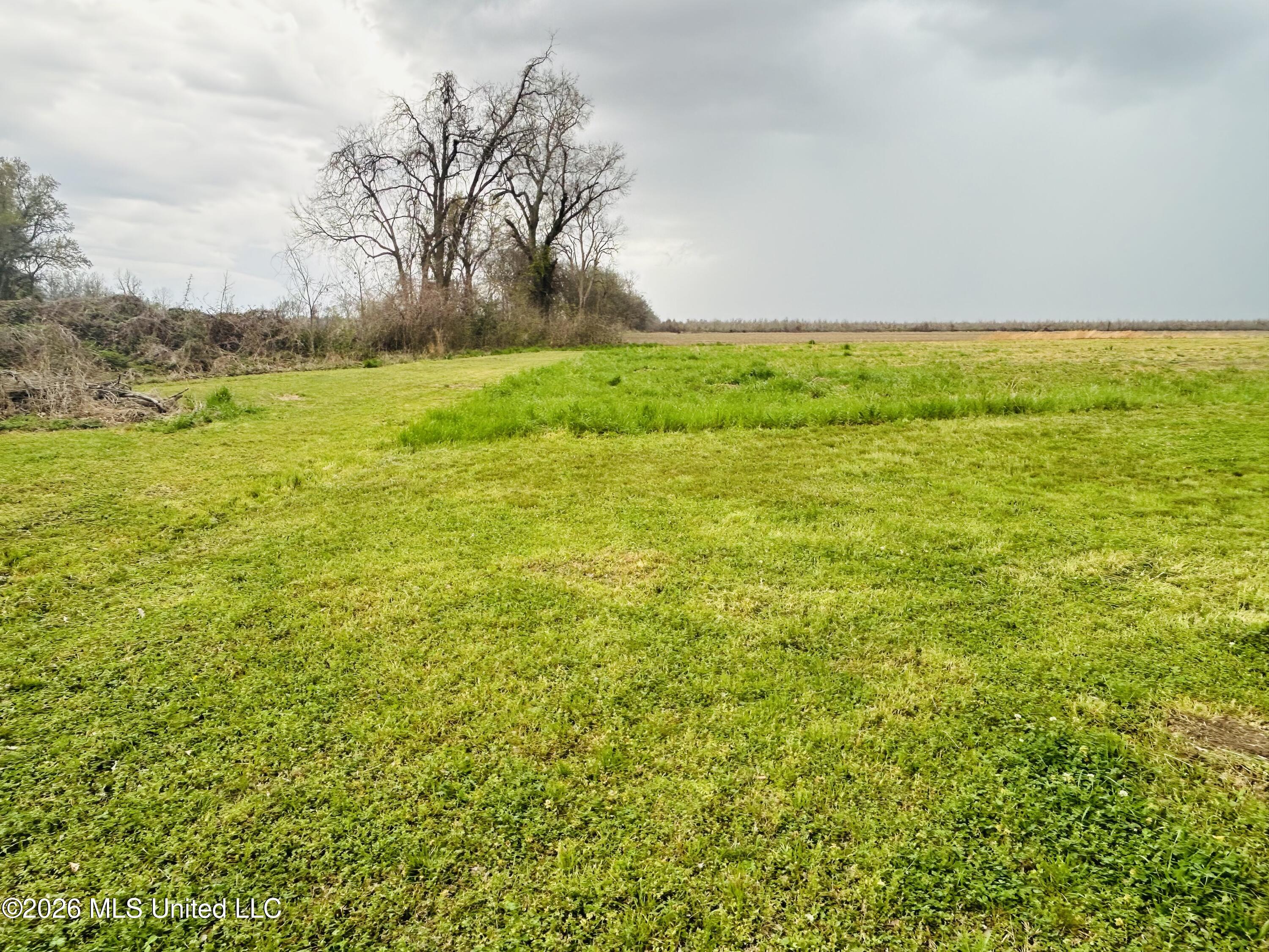 Lot M Ferriday La Ferriday, LA 71334 - Photo 3 of 4 IMG_4354