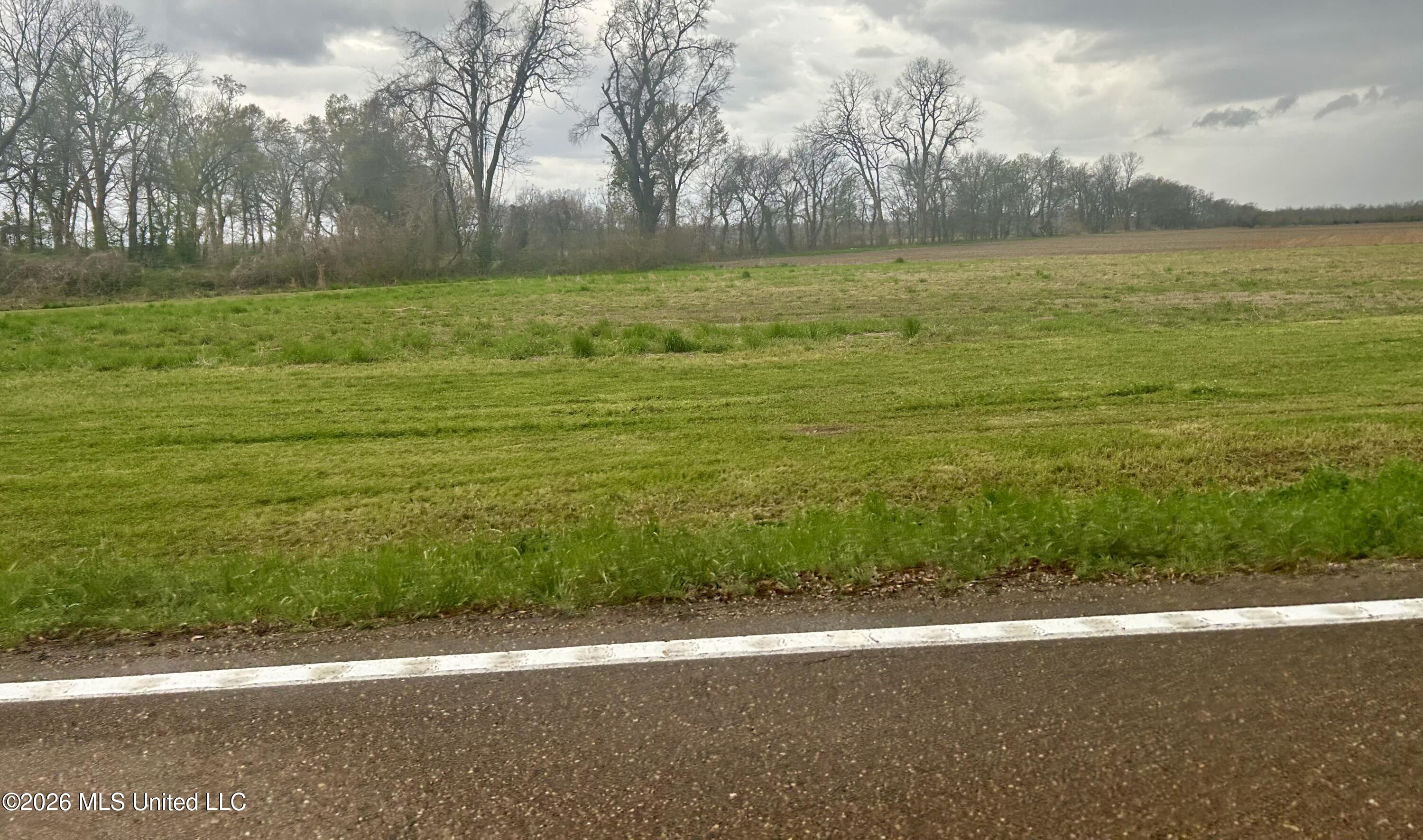 Lot M Ferriday La Ferriday, LA 71334 - Photo 4 of 4 IMG_4355