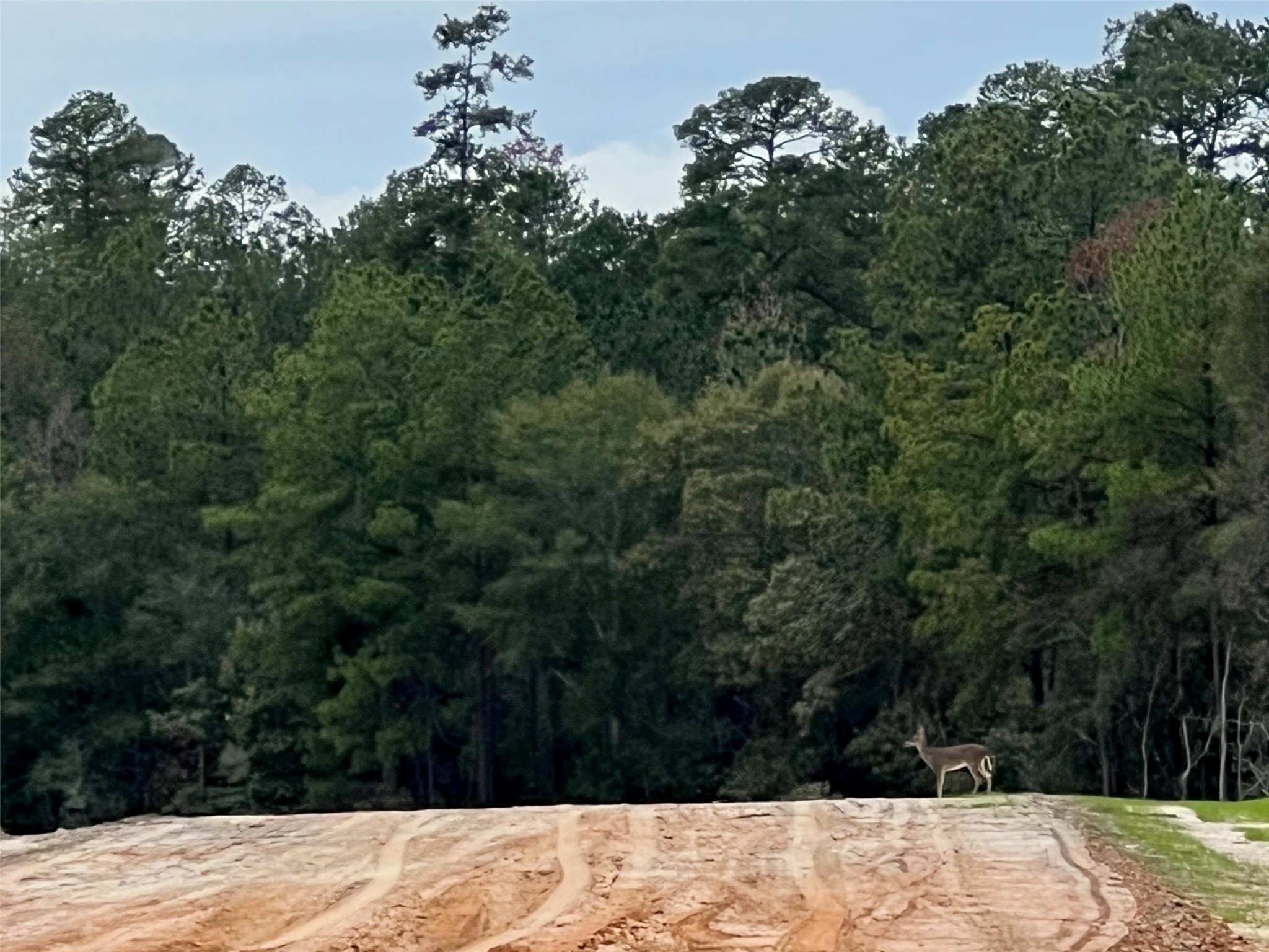 191 Heartland Road New Waverly, TX 77358 - Photo 5 of 15 a view of a outdoor space