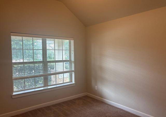 3422 Bay Drive Rosharon, TX 77583 - Photo 13 of 24