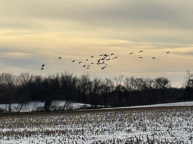 Lot 0 Highway 73 Marshall, WI 53559 - Photo 21 of 35
