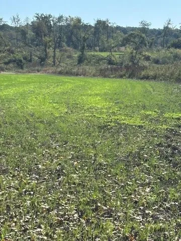 $1,150,000 | Lot 0 Highway 73, Marshall, WI 53559