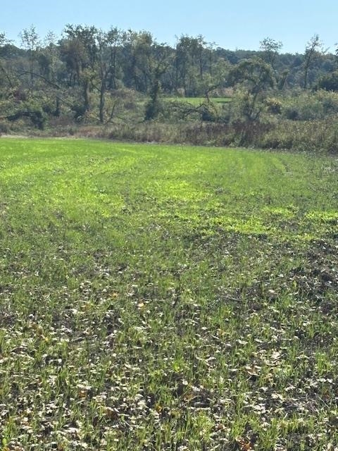 Lot 0 Highway 73 Marshall, WI 53559 - Photo 23 of 35