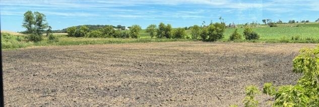 Lot 0 Highway 73 Marshall, WI 53559 - Photo 24 of 35