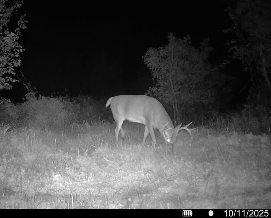 Lot 0 Highway 73 Marshall, WI 53559 - Photo 25 of 35