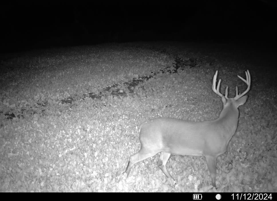 Lot 0 Highway 73 Marshall, WI 53559 - Photo 26 of 35