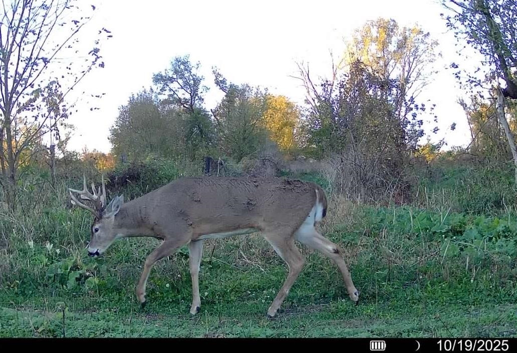 Lot 0 Highway 73 Marshall, WI 53559 - Photo 28 of 35